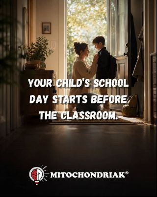 Your child’s school day starts before the classroom. Back-to-school usually means earlier mornings, more time indoors and...