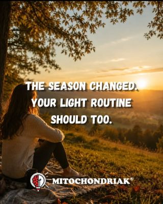 The season changed. Your light routine should too. 🍂 As we move through the September equinox, the light environment...