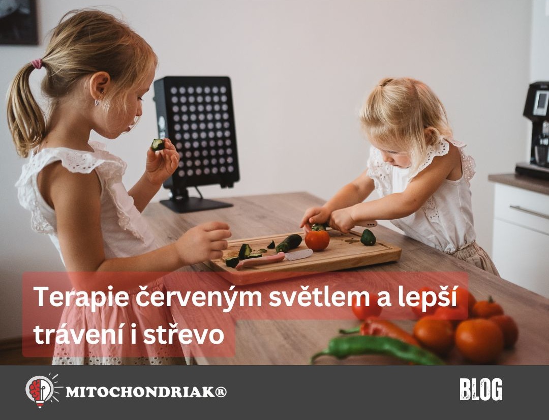 Terapie červeným světlem a lepší trávení i střevo