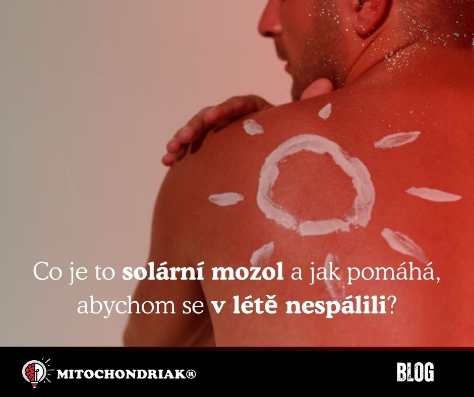 Co je to solární mozol a jak vám pomůže, abyste se v létě nespálili?