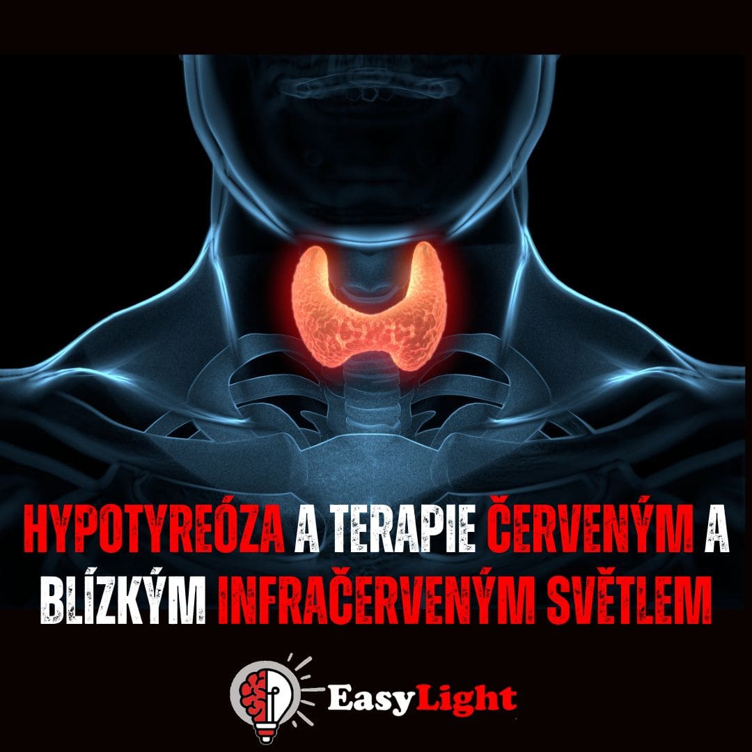 Štítná žláza, hypotyreóza a terapie červeného a blízkého infračerveného světla