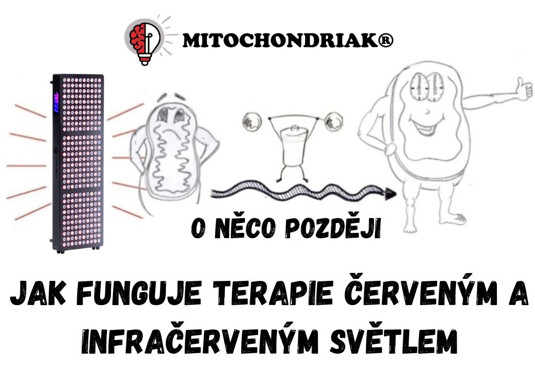 Jak funguje terapie červeným a infračerveným světlem