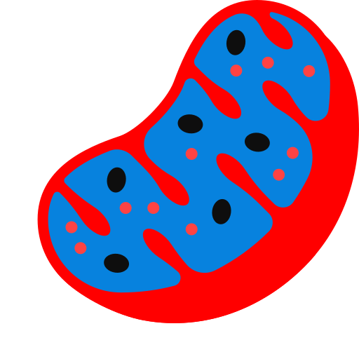Ozdravte Mitochondrie