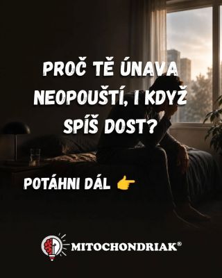 Únava není vždycky o tom, že toho děláš příliš. Často je to o tom, co tě potichu vyčerpává každý den. Moderní prostředí...