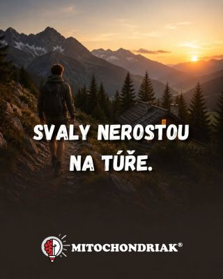 Svaly nerostou na túře. Opravují se potom. 🏔️ Letní výlety, kolo, běh, hory nebo dlouhé dny venku jsou skvělé. Ale...