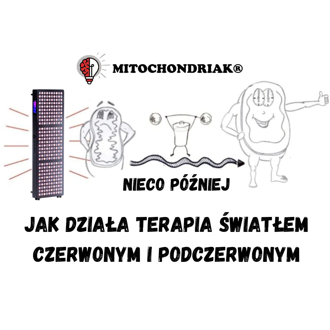 Jak działa terapia światłem czerwonym i podczerwonym?