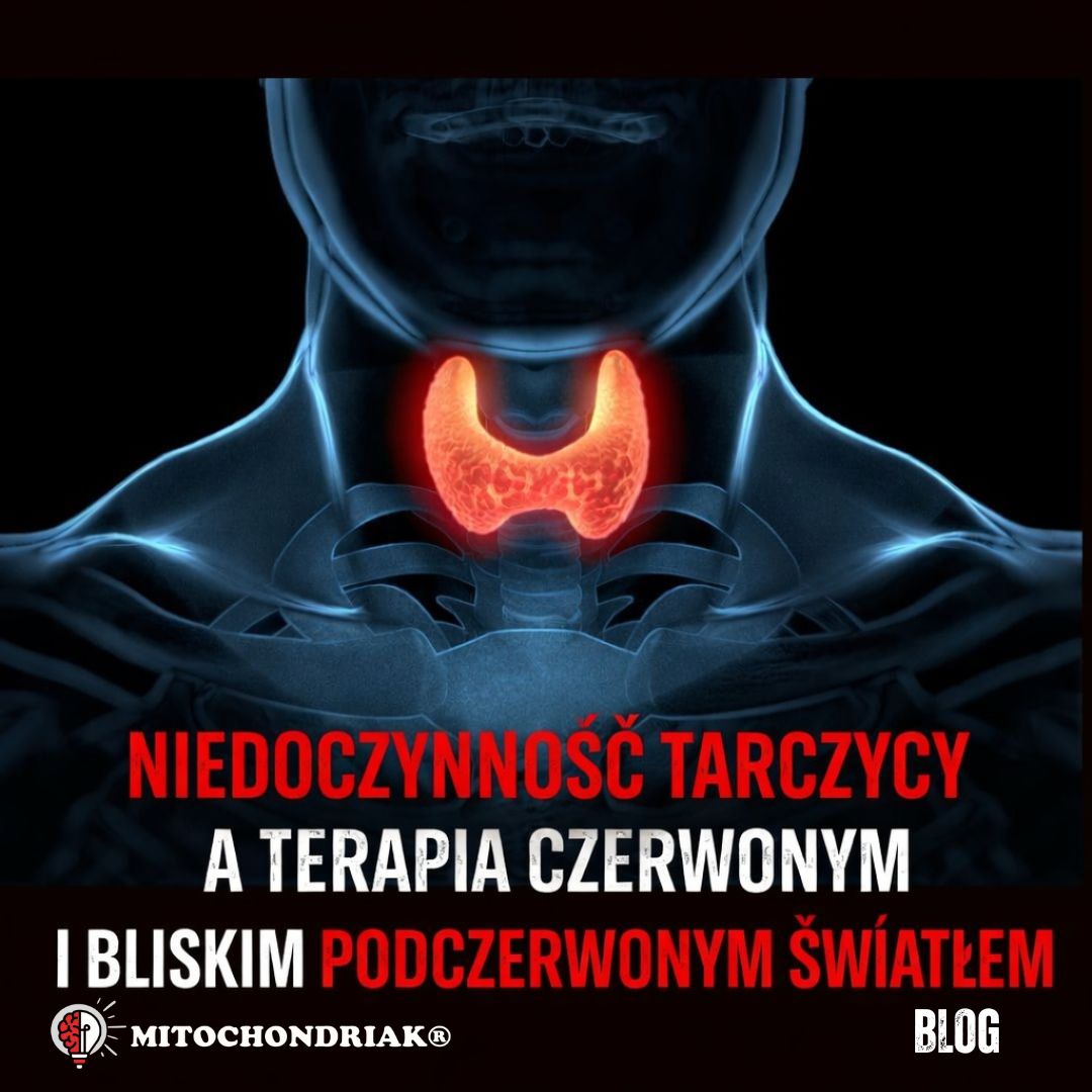 Tarczyca, niedoczynność tarczycy i terapia światłem czerwonym oraz bliską podczerwienią