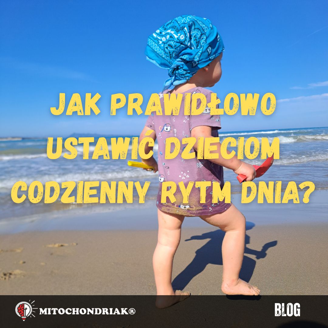 Jak prawidłowo ustawić dzieciom codzienny rytm dnia?