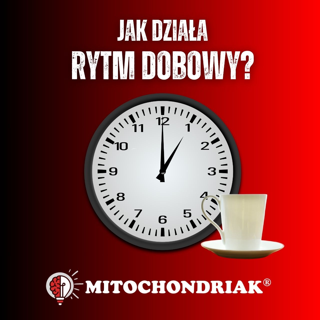 Rytm dobowy: Jak działają nasze wewnętrzne zegary?