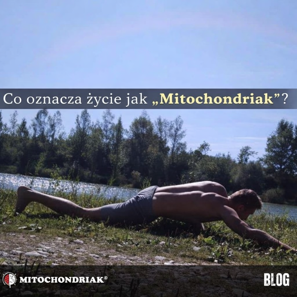 Co to znaczy być mitochondrykiem i żyć jak mitochondriak?