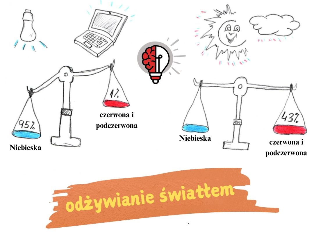 Dlaczego wszyscy potrzebujemy światła czerwonego i podczerwonego
