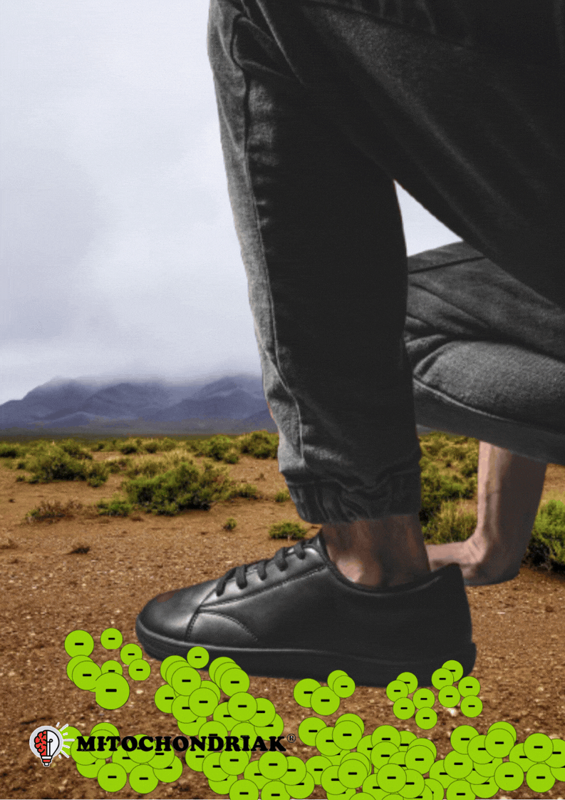 Biohacking uziemienie