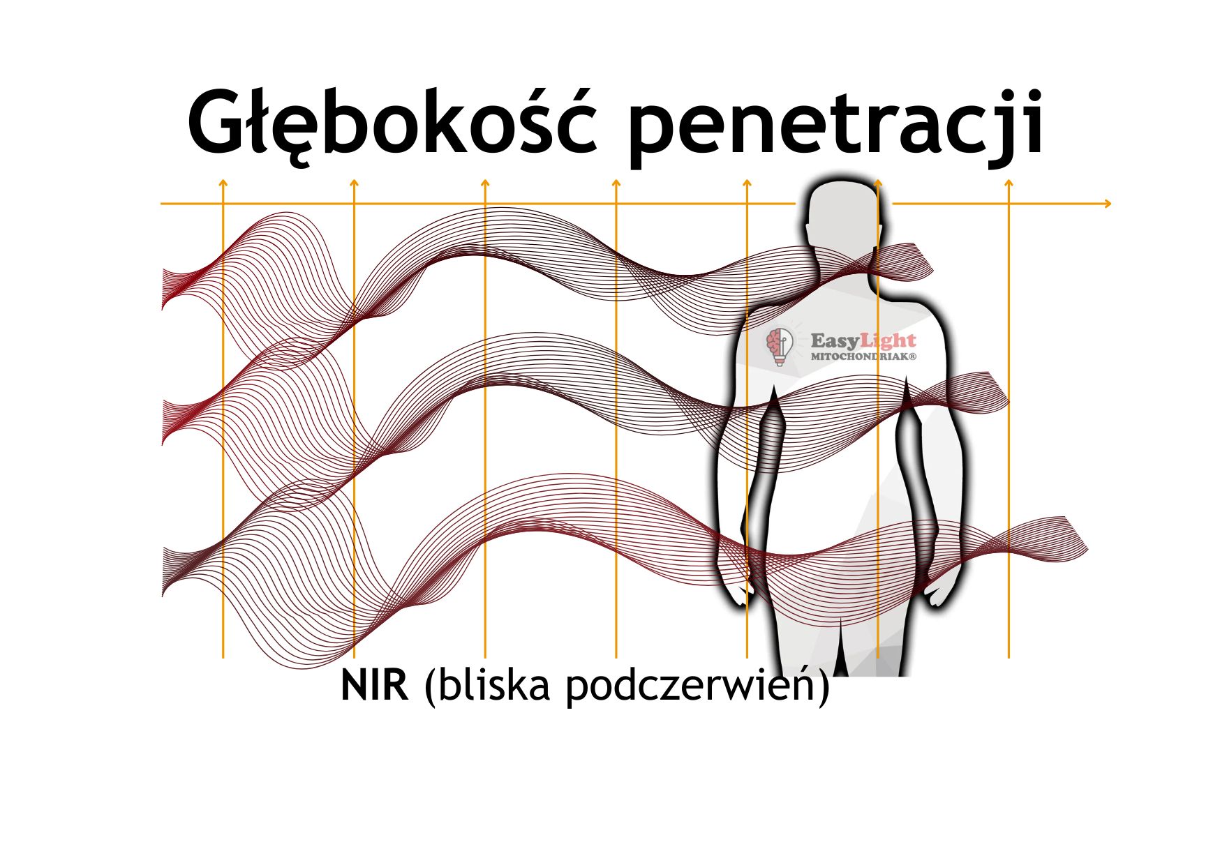Mitochondriak® light therapy