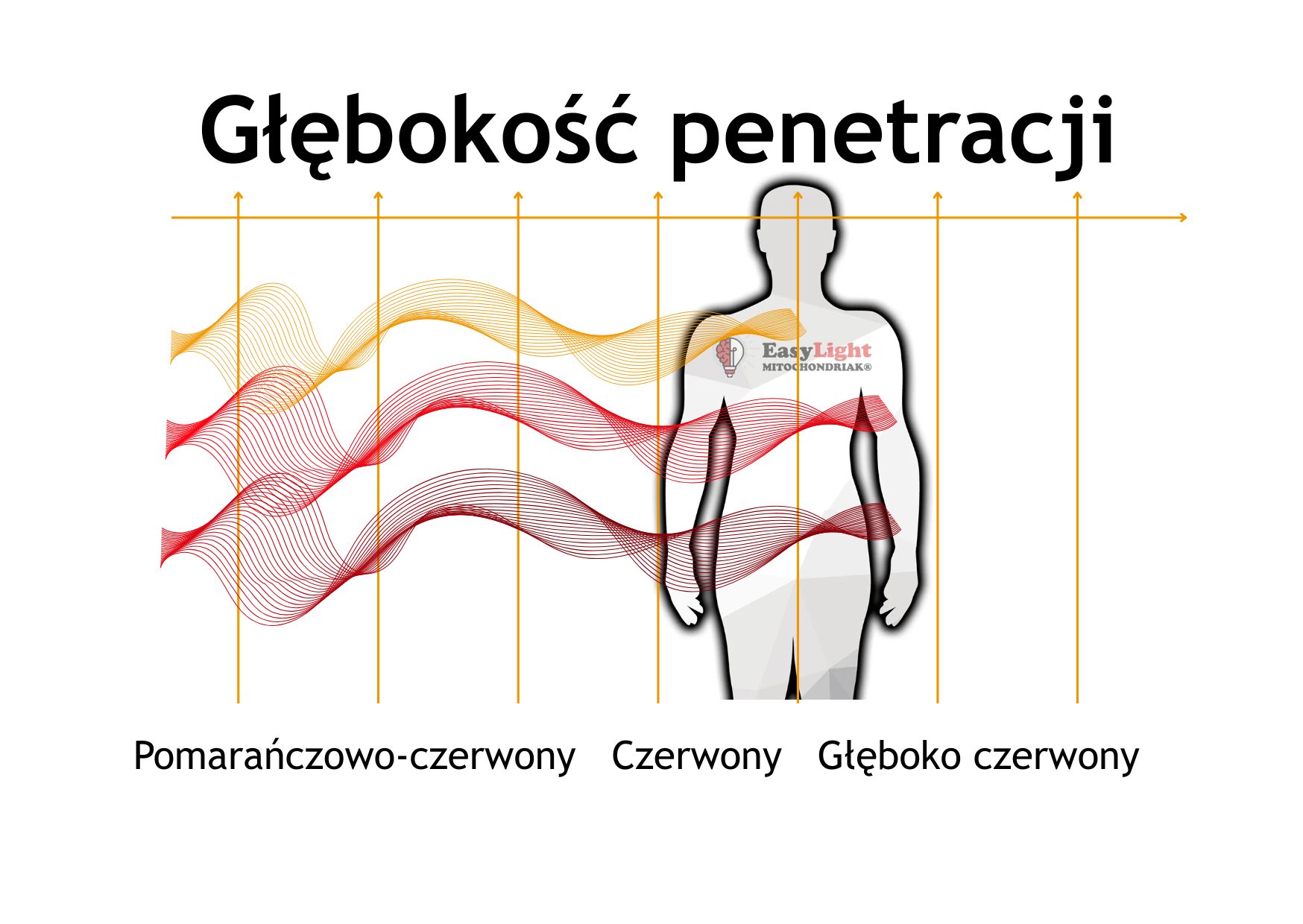Mitochondriak® light therapy