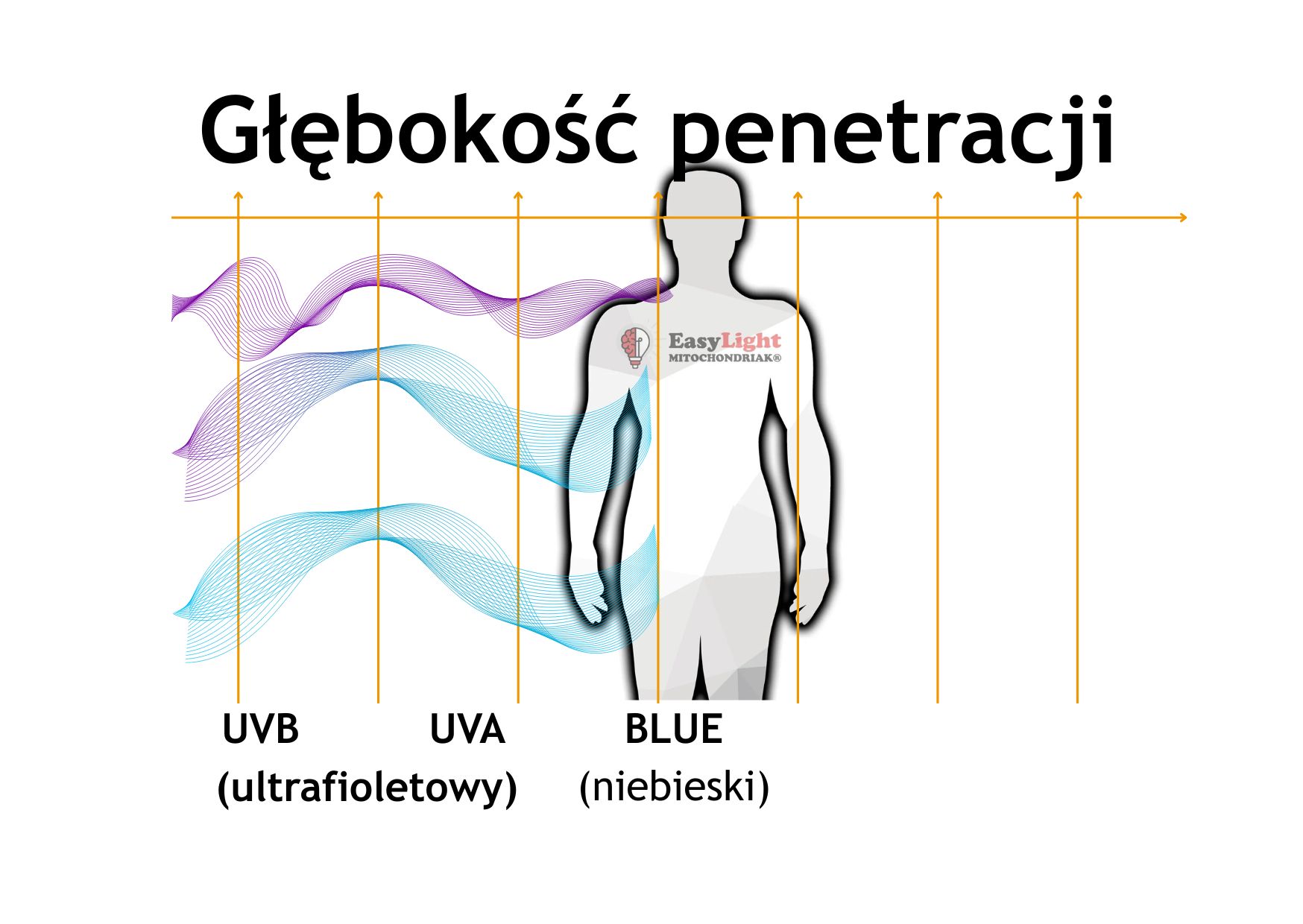 Mitochondriak® light therapy