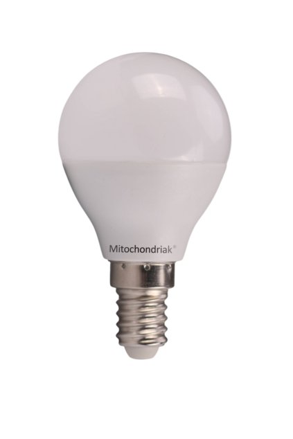Nocna cervena ziarovka Mitochondriak E14 OFF (1)