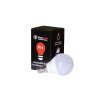 Red bulb E14 Box and bulb