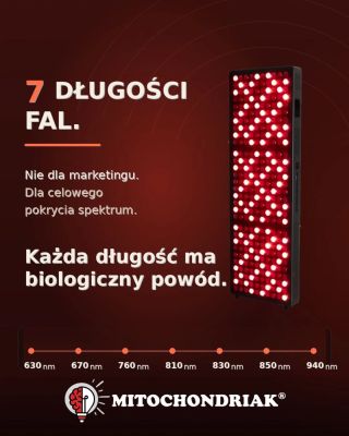 7 dlugosci fal. To nie przypadek. Wiekszosc paneli do terapii czerwonym swiatlem wykorzystuje dwie dlugosci fal....