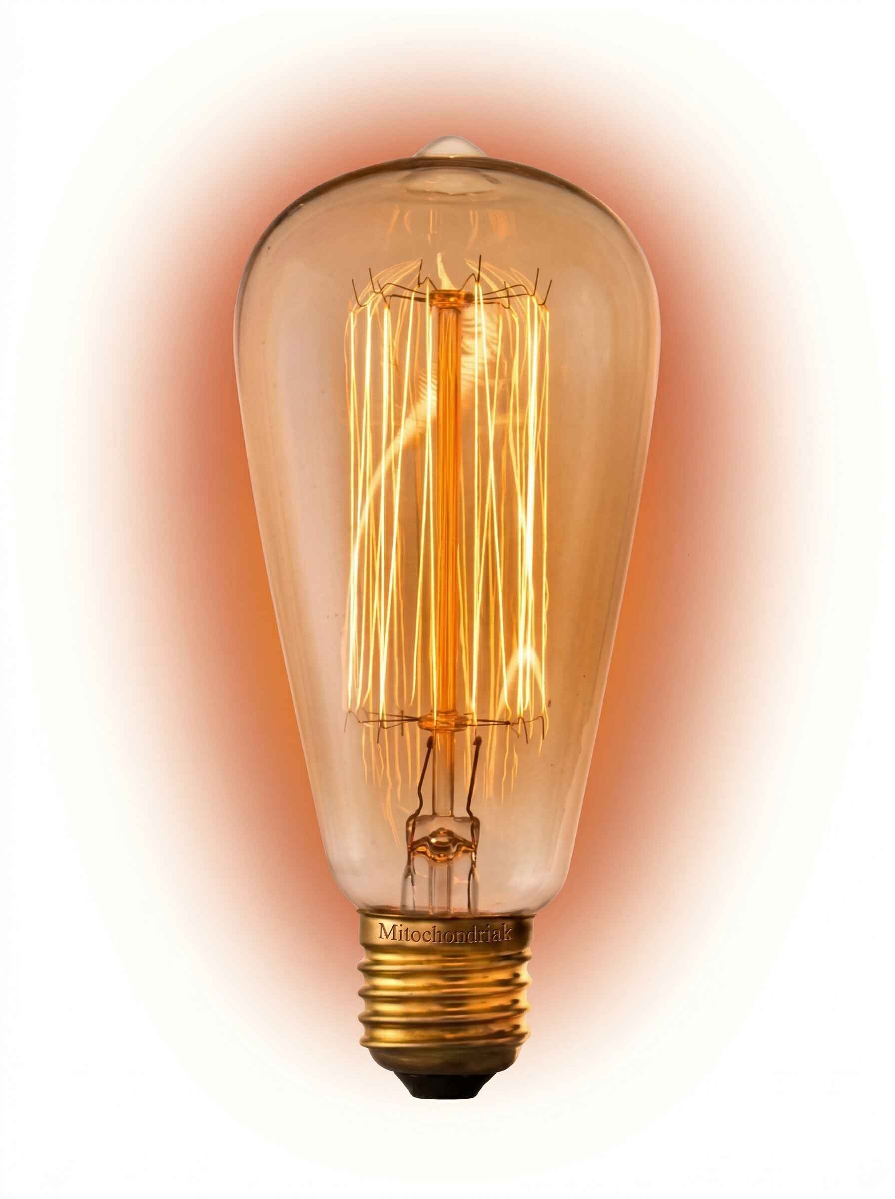 inkandescentná wolfrámová žiarovka Mitochondriak E27