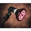 LED žiarovka Mitochondriak® 3.0 3