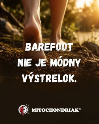Barefoot nie je módny výstrelok. 🦶 Je to návrat k niečomu, čo bolo pre telo kedysi úplne normálne. Dnes sú chodidlá...