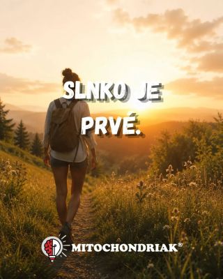 Červené svetlo nie je náhrada slnka. ☀️ A ani by sa tak nemalo komunikovať. Slnko je prvé. Je to prirodzený zdroj svetla,...