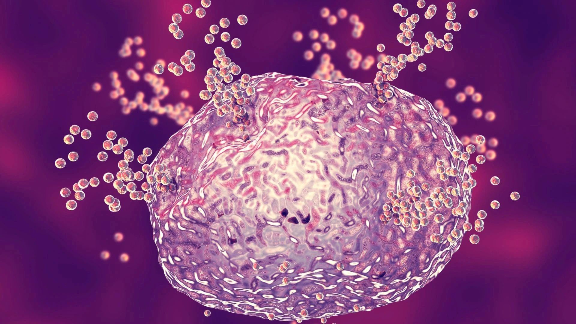 Histaminová intolerance a autoimunitní onemocnění – jak je zvládnout?