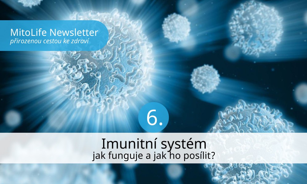 Jak funguje imunitní systém a jak ho posílit?