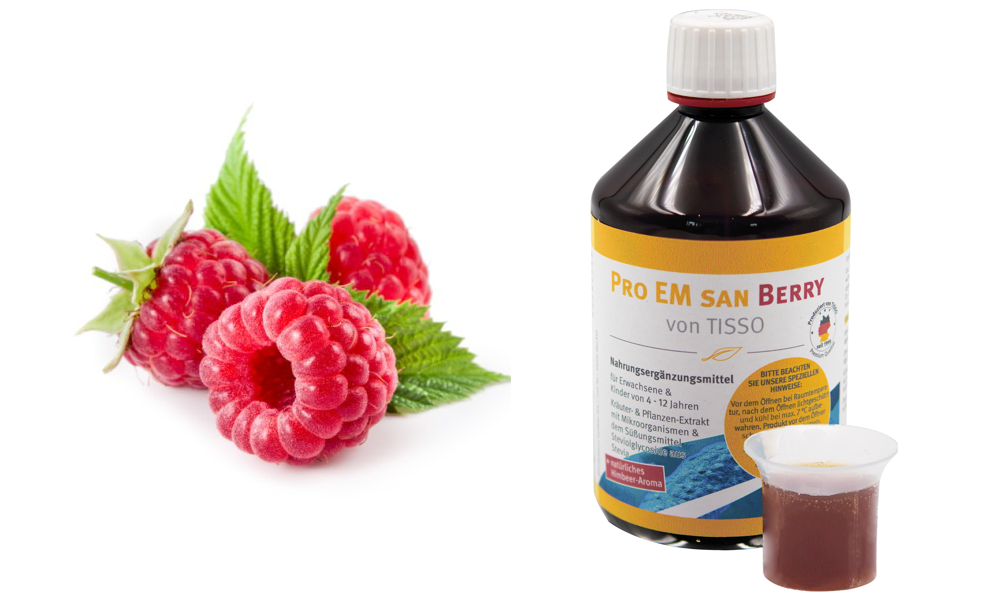 Aktualita: Váš oblíbený Pro Em San Junior mění název na Pro Em San Berry!