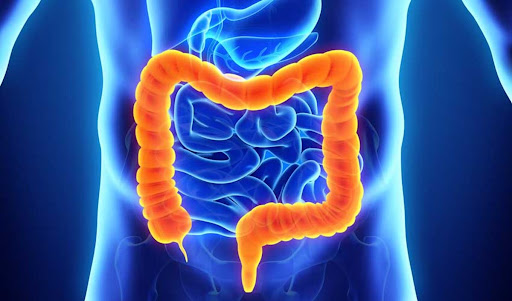 Zdravá střeva – cesta ke zdraví