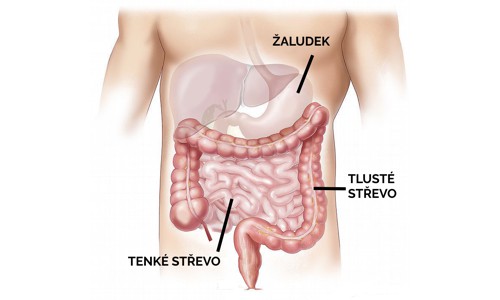 Jak na lepší trávení? Co může být v procesu trávení v nepořádku?