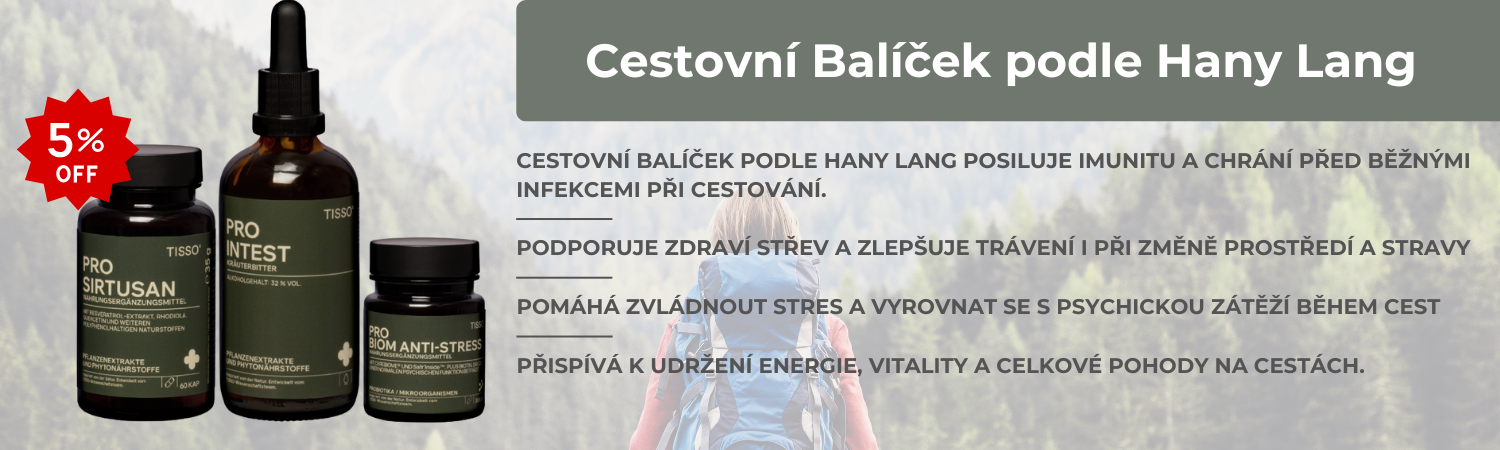 cestování
