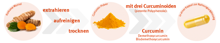 Proces vstřebávání kurkuminu