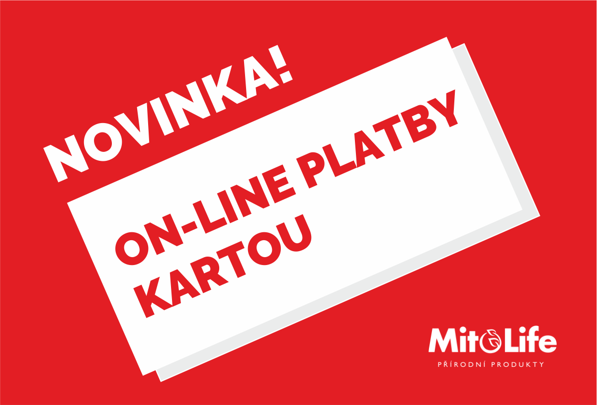 online-platby-kartou