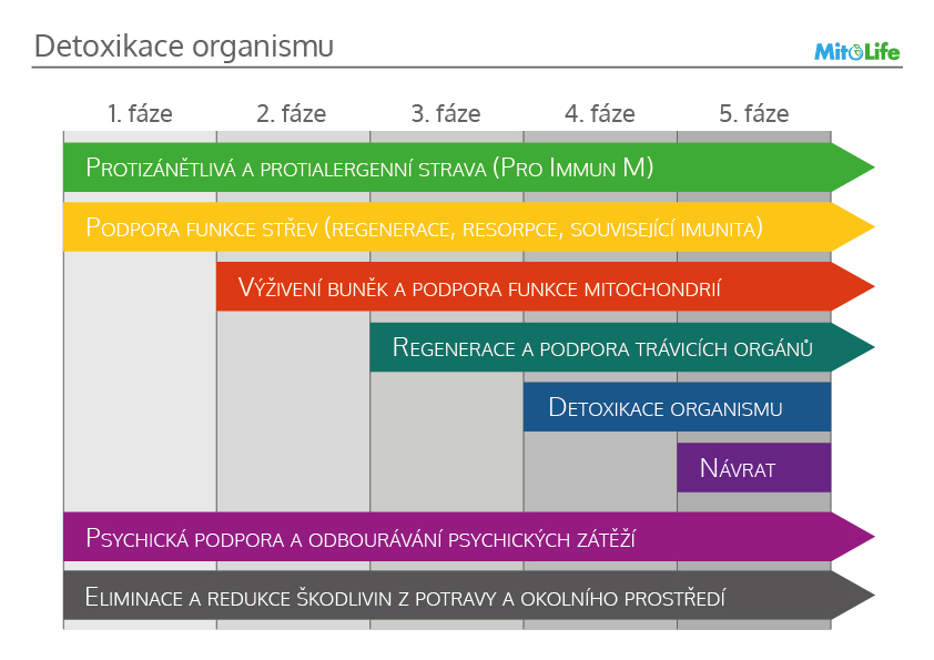 postup-detoxikace
