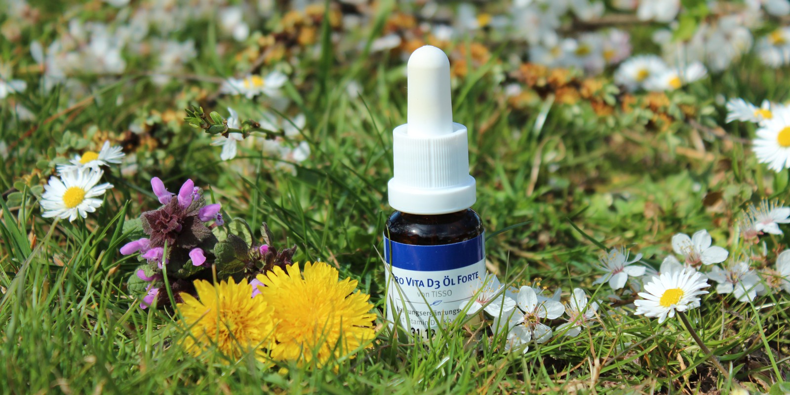 Doplněk stravy při nedostatku vitamínu D – Pro Vita D3 ÖL Forte