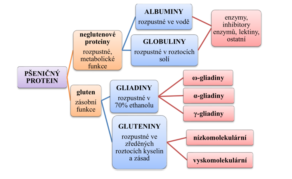 psenicne-proteiny-1024x629