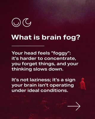 In winter, our brains often don't work at full capacity - we find it harder to concentrate, we forget things, and we feel...