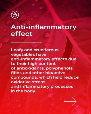 Red light therapy can support regeneration and the body’s natural healing processes. Your diet can also be one of the...
