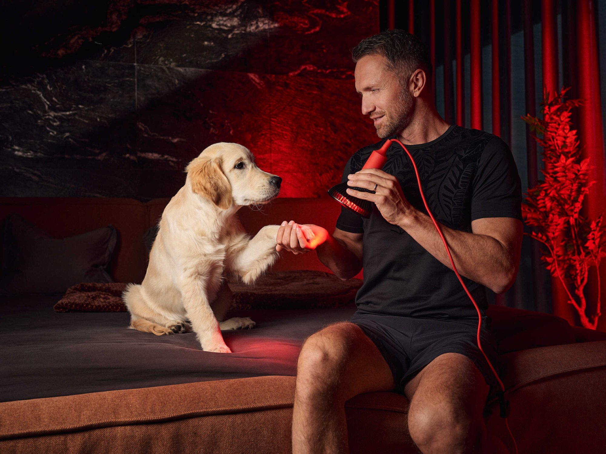 Silnější imunita – světlo jako přirozený doping pro obranyschopnost