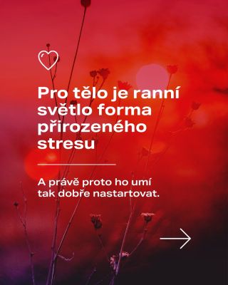Když slyšíme slovo stres, většinou je to v negativním tónu ⚡ 👉 Jenže tělo potřebuje i malé, přirozené podněty, které ho...