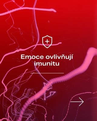 Ještě donedávna se medicína dívala na mozek, imunitu a psychiku jako na oddělené oblasti. Dnes víme, že mezi nimi existuje...