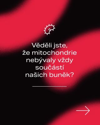 Mitochondrie většinou známe jako malé „elektrárny“ buněk. ⚡ Jejich příběh je ale mnohem zajímavější - sahá hluboko do...