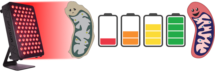 was ist rote Lichttherapie