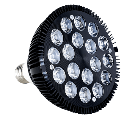 bulb