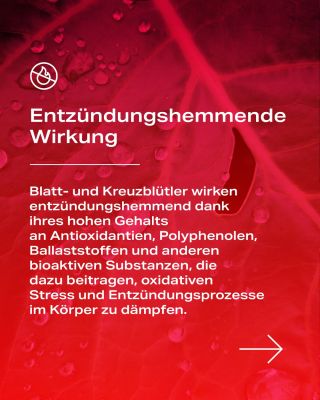 Die Rotlichttherapie kann die Regeneration und die natürlichen Reparaturprozesse im Körper fördern. Und gerade die...