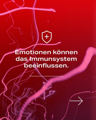 Bis vor Kurzem betrachtete die Medizin das Gehirn, das Immunsystem und die Psyche häufig als getrennte Bereiche. Heute...