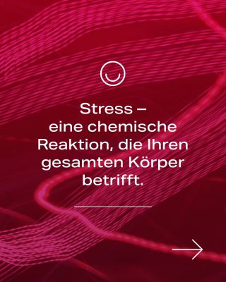 Stress ist nicht nur ein Gefühl in unserem Kopf. 🧠 Er ist eine Reihe von Reaktionen, die den gesamten Körper beeinflussen...