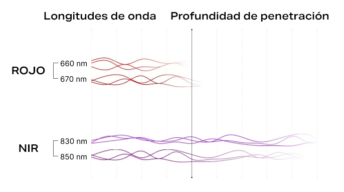 longitudes de onda de luz roja y NIR (nm)