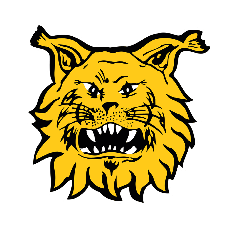 Ilves